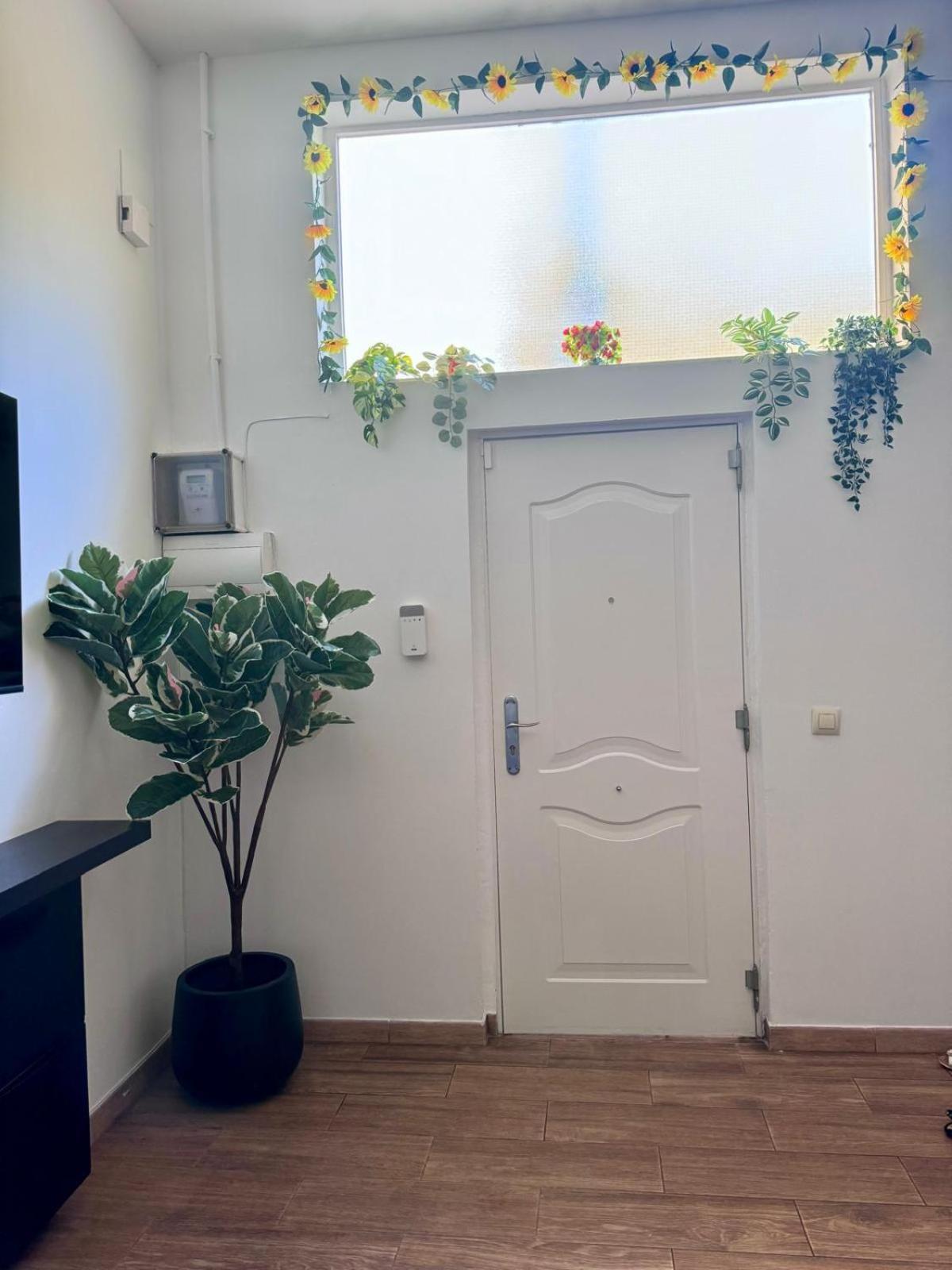 Pamis Apartament Sants, Barcelona Eksteriør bilde
